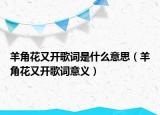 羊角花又開歌詞是什么意思（羊角花又開歌詞意義）