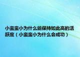 小蠻蠻小為什么能保持如此高的活躍度（小蠻蠻小為什么會(huì)成功）