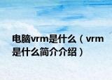 電腦vrm是什么（vrm是什么簡介介紹）