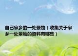 自己家鄉(xiāng)的一處景物（收集關于家鄉(xiāng)一處景物的資料有哪些）