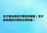 支付寶先用后付額度在哪看（支付寶先用后付額度在哪里看）