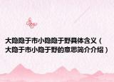 大隱隱于市小隱隱于野具體含義（大隱于市小隱于野的意思簡介介紹）