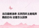 當(dāng)日最新消息 北京四環(huán)主路現(xiàn)奔跑的白馬 這是怎么回事