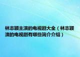 林志穎主演的電視劇大全（林志穎演的電視劇有哪些簡介介紹）