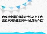 唐高祖李淵的母親叫什么名字（唐高祖李淵的父親叫李什么簡(jiǎn)介介紹）