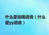什么是遠(yuǎn)揚(yáng)語(yǔ)音（什么是yy語(yǔ)音）