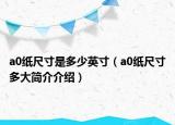 a0紙尺寸是多少英寸（a0紙尺寸多大簡介介紹）