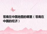 蒼南在中國(guó)地圖的哪里（蒼南在中國(guó)的經(jīng)濟(jì)）
