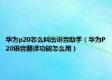 華為p20怎么叫出語(yǔ)音助手（華為P20語(yǔ)音翻譯功能怎么用）