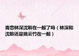 青戀林深沈聆在一起了嗎（林深和沈聆還是姚云竹在一起）