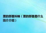 蛋的部首叫啥（蛋的部首是什么簡(jiǎn)介介紹）