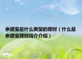 余額寶是什么類型的理財(cái)（什么是余額寶理財(cái)簡介介紹）
