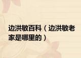邊洪敏百科（邊洪敏老家是哪里的）