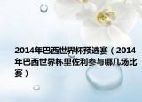 2014年巴西世界杯預(yù)選賽（2014年巴西世界杯里佐利參與哪幾場(chǎng)比賽）