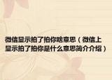 微信顯示拍了拍你啥意思（微信上顯示拍了拍你是什么意思簡(jiǎn)介介紹）