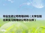 畢業(yè)生進公司有培訓嗎（大學生剛出來實習找培訓公司怎么樣）