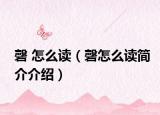 磬 怎么讀（磬怎么讀簡介介紹）