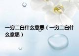 一窮二白什么意思（一窮二白什么意思）
