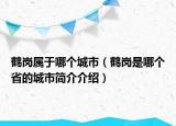 鶴崗屬于哪個城市（鶴崗是哪個省的城市簡介介紹）