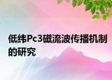 低緯Pc3磁流波傳播機(jī)制的研究