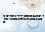 美加州多地廢水中檢出猴痘病毒詳細內(nèi)容 美加州多地廢水中檢出猴痘病毒具體介紹