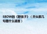 SBDW的《野孩子》（開(kāi)頭那幾句是什么語(yǔ)言）