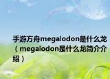 手游方舟megalodon是什么龍（megalodon是什么龍簡介介紹）