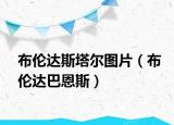 布倫達(dá)斯塔爾圖片（布倫達(dá)巴恩斯）