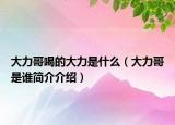 大力哥喝的大力是什么（大力哥是誰簡介介紹）
