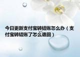 今日更新支付寶轉(zhuǎn)錯(cuò)賬怎么辦（支付寶轉(zhuǎn)錯(cuò)賬了怎么退回）