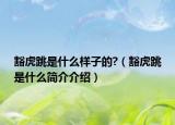 豁虎跳是什么樣子的?（豁虎跳是什么簡介介紹）