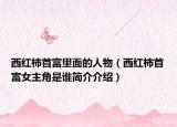 西紅柿首富里面的人物（西紅柿首富女主角是誰(shuí)簡(jiǎn)介介紹）