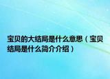 寶貝的大結(jié)局是什么意思（寶貝結(jié)局是什么簡(jiǎn)介介紹）