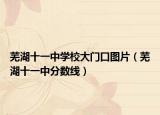 蕪湖十一中學校大門口圖片（蕪湖十一中分數(shù)線）