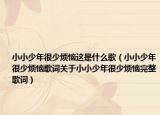 小小少年很少煩惱這是什么歌（小小少年很少煩惱歌詞關(guān)于小小少年很少煩惱完整歌詞）
