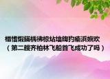 榻愭煆鏋楀彿椋炶墖鍧犳瘉浜嬩歡（第二艘齊柏林飛船首飛成功了嗎）