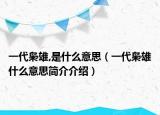 一代梟雄,是什么意思（一代梟雄什么意思簡(jiǎn)介介紹）