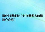 腳6寸6是多長（6寸6是多大的腳簡介介紹）