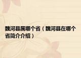 魏河縣屬哪個(gè)?。ㄎ汉涌h在哪個(gè)省簡(jiǎn)介介紹）