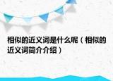 相似的近義詞是什么呢（相似的近義詞簡介介紹）
