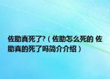 佐助真死了?（佐助怎么死的 佐助真的死了嗎簡(jiǎn)介介紹）