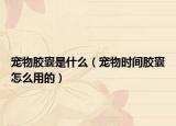 寵物膠囊是什么（寵物時間膠囊怎么用的）