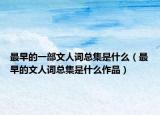 最早的一部文人詞總集是什么（最早的文人詞總集是什么作品）