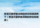 繁漫滅藤蘿膝濤躲的拼音和組詞兩個(gè)（繁漫滅藤蘿膝濤躲的拼音和組詞）