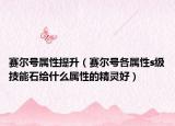 賽爾號屬性提升（賽爾號各屬性s級技能石給什么屬性的精靈好）