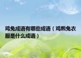 雞兔成語有哪些成語（雞熊兔衣服是什么成語）