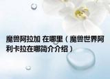 魔獸阿拉加 在哪里（魔獸世界阿利卡拉在哪簡(jiǎn)介介紹）