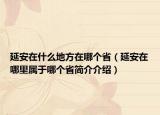 延安在什么地方在哪個(gè)?。ㄑ影苍谀睦飳儆谀膫€(gè)省簡(jiǎn)介介紹）