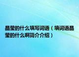 晶瑩的什么填寫(xiě)詞語(yǔ)（填詞語(yǔ)晶瑩的什么啊簡(jiǎn)介介紹）