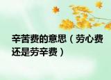 辛苦費(fèi)的意思（勞心費(fèi)還是勞辛費(fèi)）